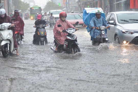 Chiều nay TP HCM tiếp tục có mưa giông, gió giật - Ảnh 1. Chiều nay TP HCM tiếp tục có mưa giông, gió giật - Ảnh 1.
