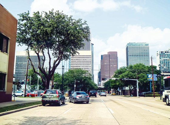 Houston êm đềm ảnh 3
