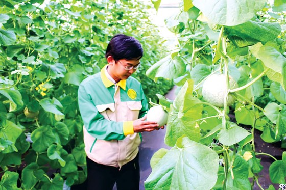 Vốn đổ vào nông nghiệp công nghệ cao ảnh 1