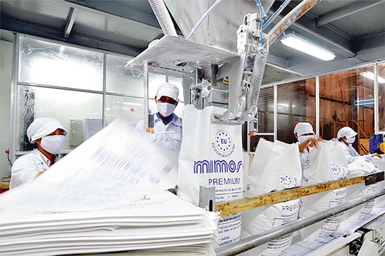 TTC Group và chiến lược thâu tóm toàn diện ảnh 1