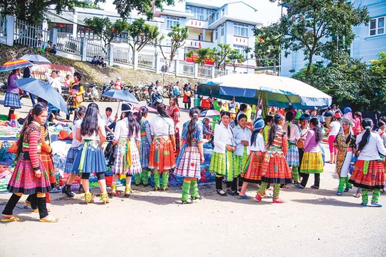 Khoe sắc nơi phố thị ảnh 5