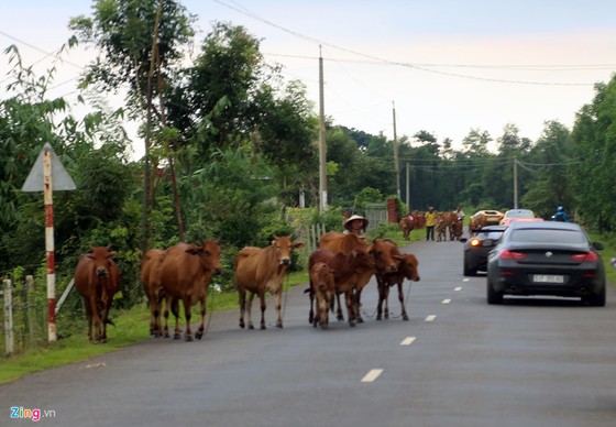 Hành trình 1.000 km trên siêu xe băng cao tốc, đường rừng ở VN hình ảnh 18 Hanh trinh 1.000 km tren sieu xe bang cao toc, duong rung o VN hinh anh 18