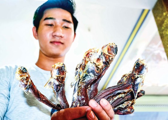 Cá thòi lòi - Dị hợm, kỳ lạ ảnh 6