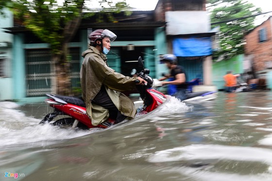 Nguoi Sai Gon ra duong bat ca sau tran mua lon suot dem hinh anh 2