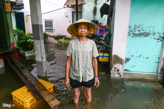 Nguoi Sai Gon ra duong bat ca sau tran mua lon suot dem hinh anh 15