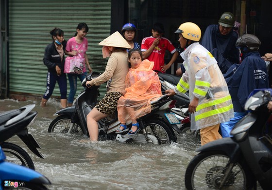 Nguoi Sai Gon ra duong bat ca sau tran mua lon suot dem hinh anh 16