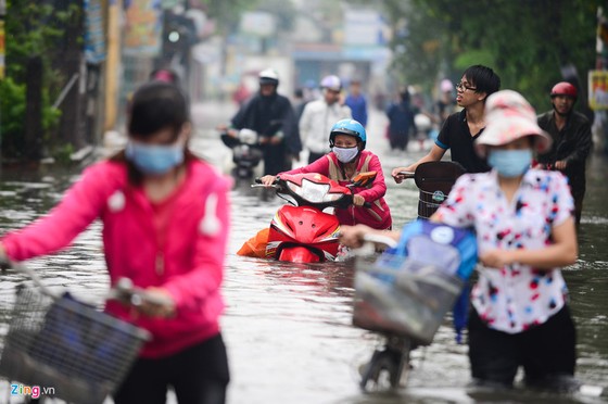 Nguoi Sai Gon ra duong bat ca sau tran mua lon suot dem hinh anh 1