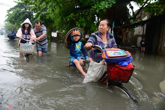 Nguoi Sai Gon ra duong bat ca sau tran mua lon suot dem hinh anh 4