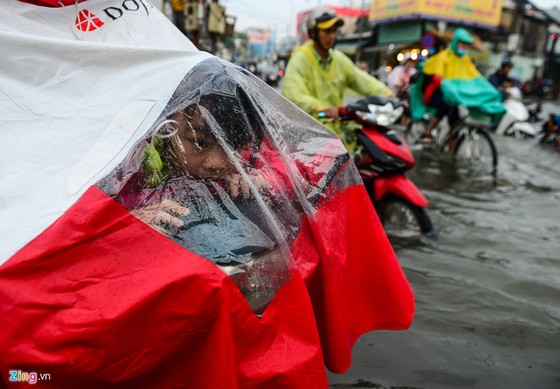 Nguoi Sai Gon ra duong bat ca sau tran mua lon suot dem hinh anh 8