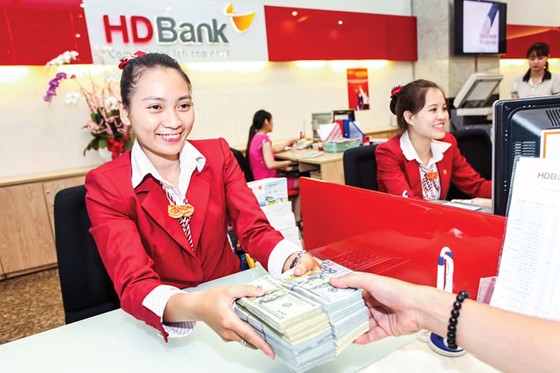 Lãi lớn nhờ tăng trưởng tín dụng ảnh 1