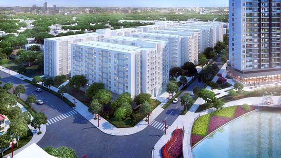 Chen chân nộp hồ sơ mua căn hộ đồng giá 658 triệu đồng ảnh 3