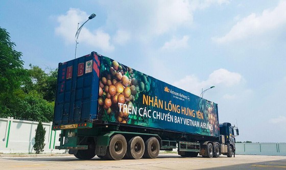 Thưởng thức nhãn lồng Hưng Yên trên máy bay Vietnam Airlines ảnh 1