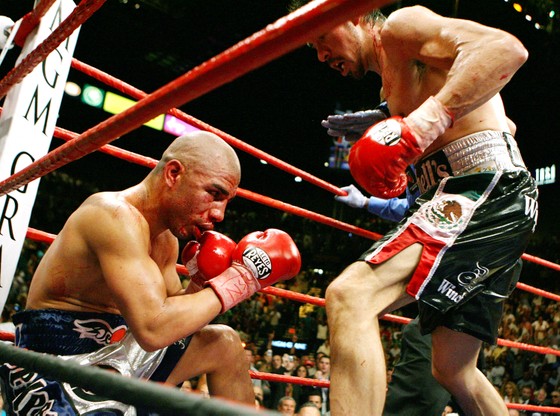 Quyền Anh - Miguel Cotto và trận chiến cuối cùng ảnh 4