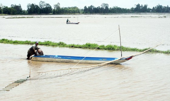 Nước lên nhanh, lũ sắp đạt ngưỡng báo động 2 ảnh 1