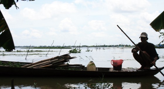 Lũ đầu nguồn tại Tân Châu, Châu Đốc vượt báo động 2 ảnh 1