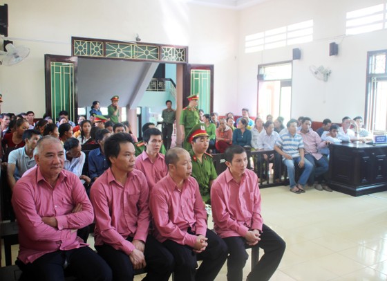Trả hồ sơ, điều tra bổ sung "đại án" phá rừng Bình Định: ảnh 5