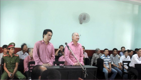 Trả hồ sơ, điều tra bổ sung "đại án" phá rừng Bình Định: ảnh 1