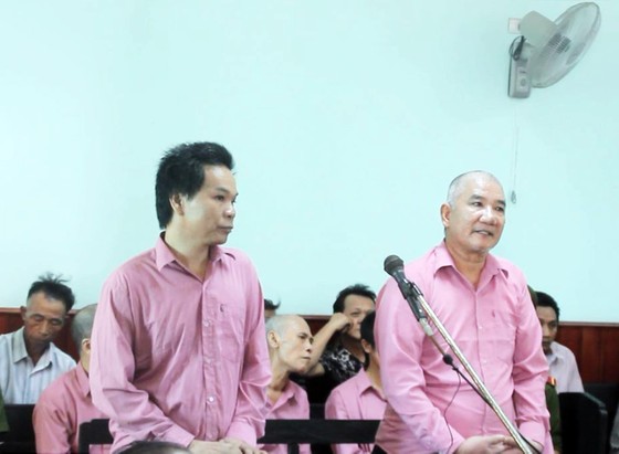 Trả hồ sơ, điều tra bổ sung "đại án" phá rừng Bình Định: ảnh 3