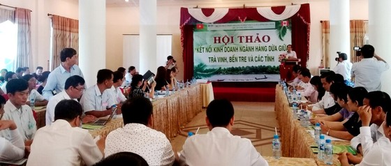 Trà Vinh và Bến Tre kết nối kinh doanh dừa ảnh 1