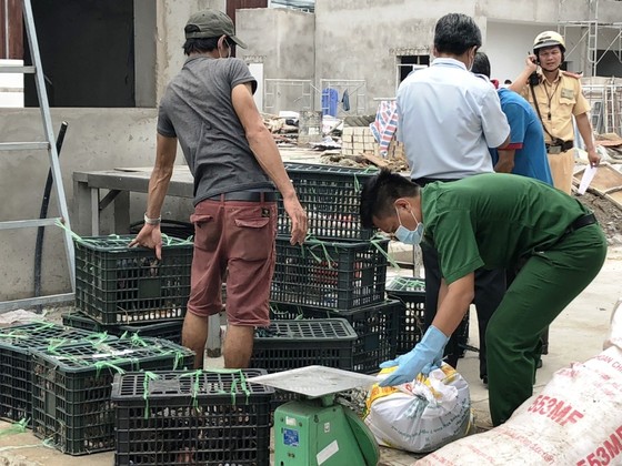 Bắt giữ xe khách vận chuyển thịt, nội tạng heo thối, gà không kiểm dịch ảnh 1