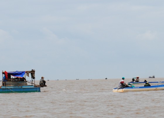 Cà Mau: Xuất hiện sò huyết giống ở bãi bồi Đất Mũi, dân đổ xô khai thác ảnh 1