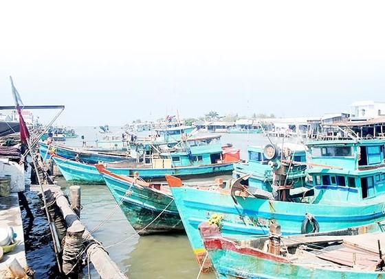 Cà Mau: Nạo vét cửa biển nửa chừng, tàu cá công suất lớn “mắc cạn” ảnh 1