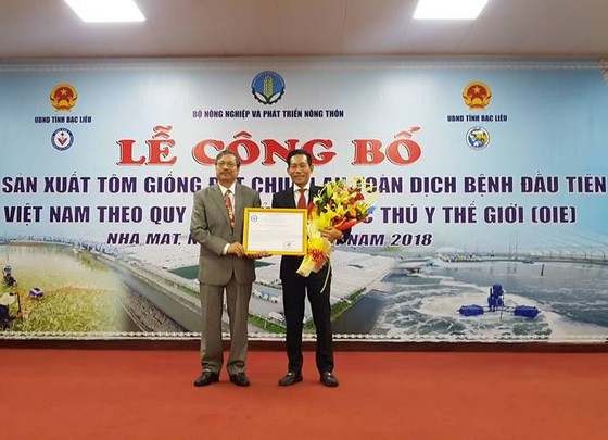 Cơ sở sản xuất tôm giống đầu tiên của Việt Nam đạt chuẩn theo khuyến cáo của tổ chức OIE ảnh 1