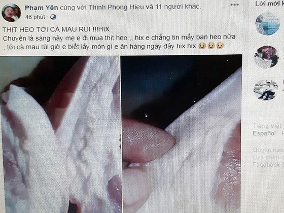 Hai chủ tài khoản Facebook bị lập biên bản khi thông tin sai sự thật dịch tả lợn đã đến Cà Mau ảnh 1