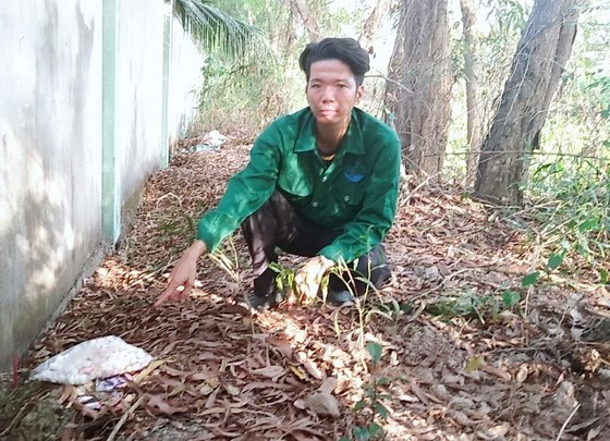 Ca Mau continues to direct it