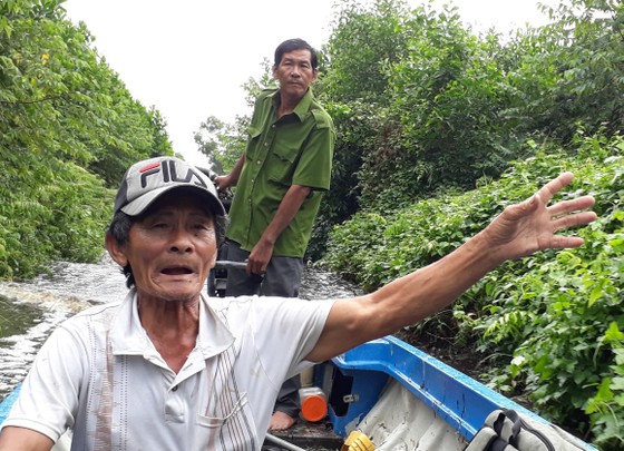 Cần sớm giải quyết dứt điểm “điểm nóng” đất rừng U Minh Hạ ảnh 1