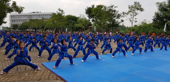 Xác lập kỷ lục “Màn đồng diễn võ thuật lớn nhất Việt Nam” với 7.000 môn sinh tham gia ảnh 2