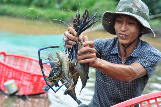 Đồng Nai đầu tư hơn 226 tỷ đồng cho vùng nuôi thủy sản công nghệ cao ảnh 1