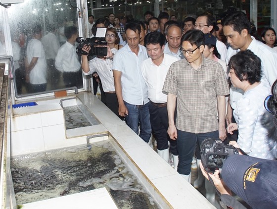 Phó thủ tướng kiểm tra đột xuất chợ đầu mối lúc nửa đêm ảnh 1