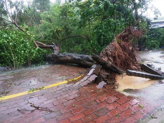 Bão số 9 khiến TPHCM mưa tầm tã không ngớt, nhiều đường ngập nặng ảnh 19