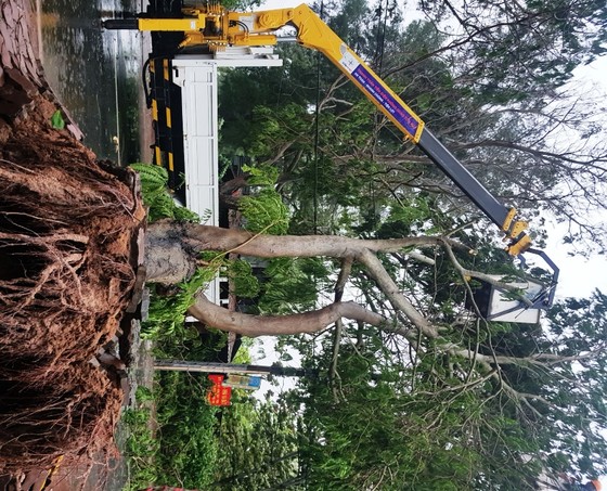 Bão số 9 khiến TPHCM mưa tầm tã không ngớt, nhiều đường ngập nặng ảnh 20