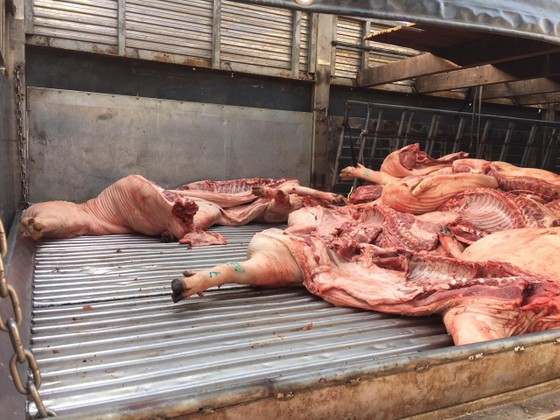 Ngăn chặn kịp thời hơn 1 tấn thịt heo bị lở mồm long móng vào chợ đầu mối ảnh 1