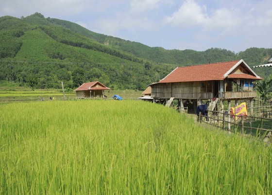 Quảng Ngãi: Dân vùng sạt lở vẫn chưa an cư ảnh 1