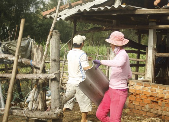 Lũ trên các sông Quảng Ngãi đạt đỉnh và đang xuống, nhà dân tốc mái đang khắc phục ảnh 8