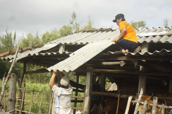 Lũ trên các sông Quảng Ngãi đạt đỉnh và đang xuống, nhà dân tốc mái đang khắc phục ảnh 7
