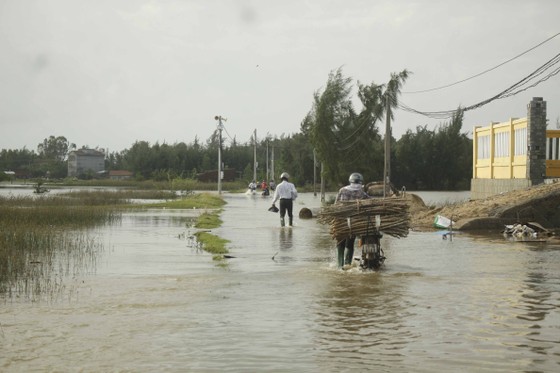 Lũ trên các sông Quảng Ngãi đạt đỉnh và đang xuống, nhà dân tốc mái đang khắc phục ảnh 1