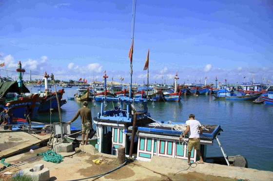 Đóng tàu tuần tra và lắp đặt phao phân vùng khu bảo tồn biển Lý Sơn ảnh 2