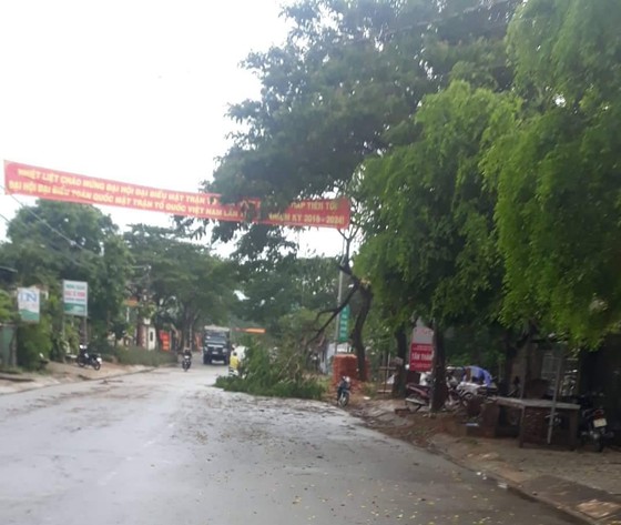 Quảng Ngãi: Gió lốc tốc mái 3 nhà dân, cây xanh đường ngã đổ ảnh 4