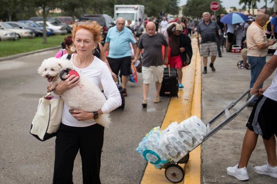Siêu bão Irma tiến vào đất liền bang Florida của Mỹ ảnh 3