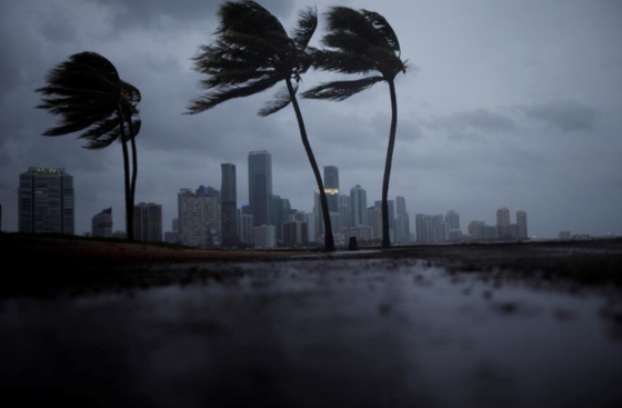 Siêu bão Irma tiến vào đất liền bang Florida của Mỹ ảnh 1