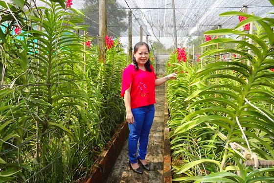 Thu nhập 400 triệu đồng/năm từ lan ảnh 1