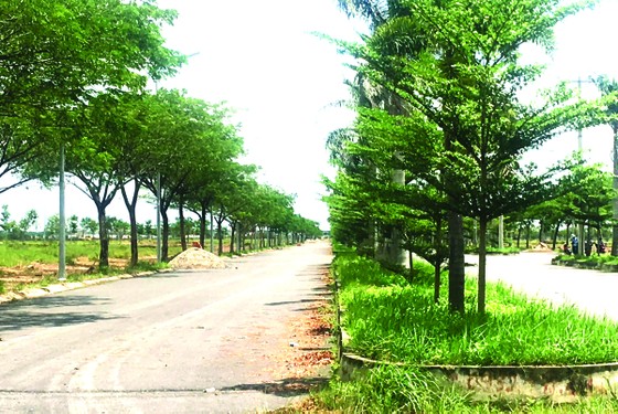 Quy hoạch đô thị: Sự lựa chọn cho ngày mai ảnh 1