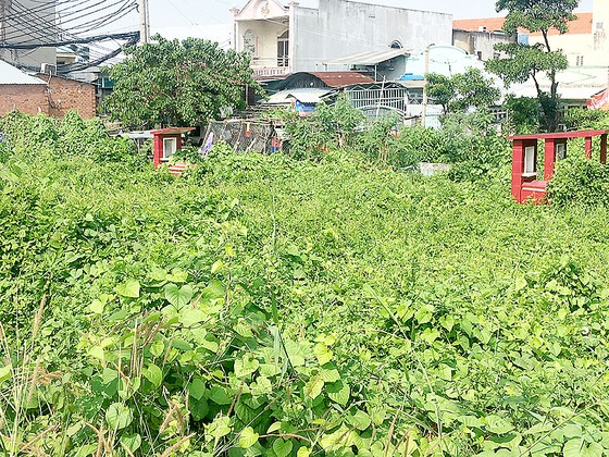 Khu dân cư ô nhiễm nặng ảnh 1