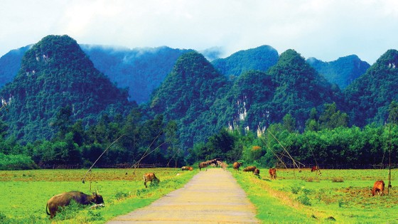 Du ngoạn trong viên kim cương xanh ảnh 6