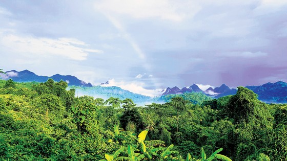 Du ngoạn trong viên kim cương xanh ảnh 1