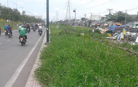 Vỉa hè thành bãi cỏ hoang ảnh 1